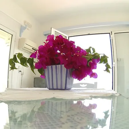 Virginia Apartment Kokkari