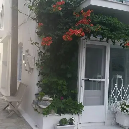 Virginia * Kokkari